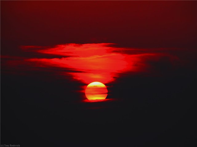 Нет больше слов... Людмила Юферова