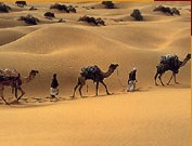 Поколение застоя