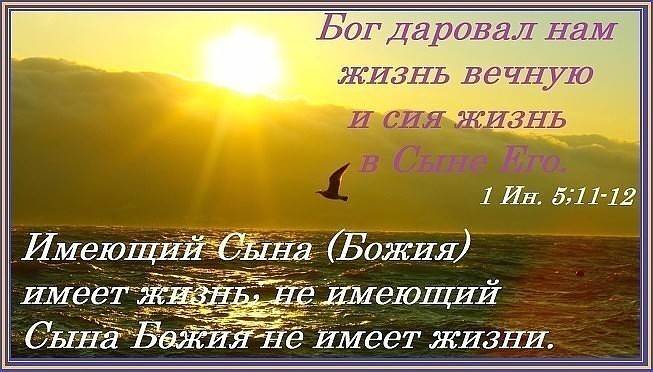 Дневник с воскресеньем. Библия о вечной жизни. Вечная жизнь. Воскресенье и жизнь вечная. Иисус сказал ей: я есмь воскресение и жизнь;.