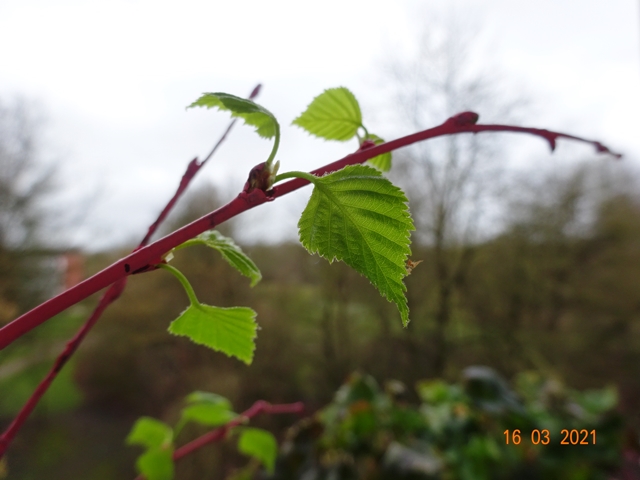 В руках Господних, по - старинке!