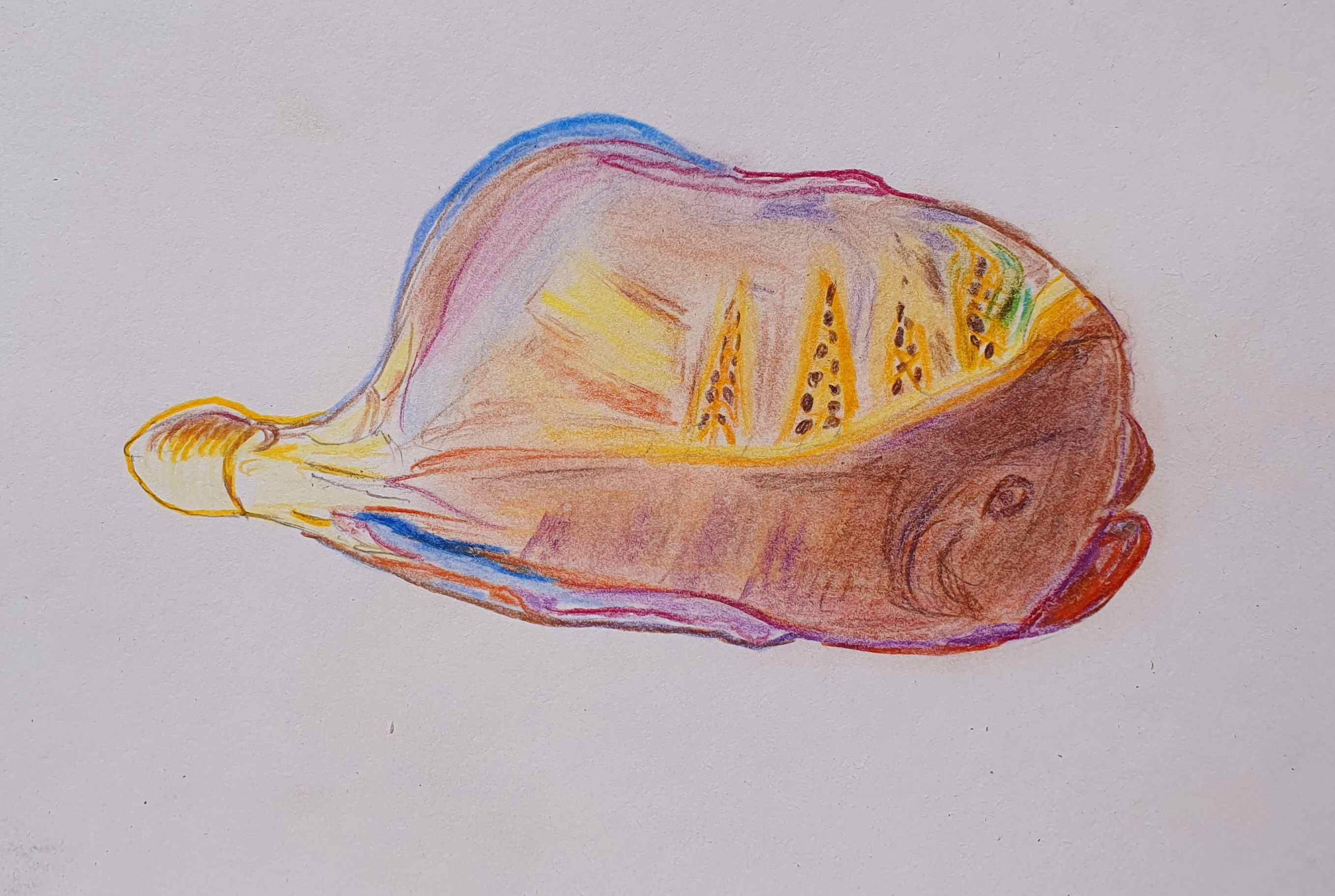 Моллюск - термоктопус