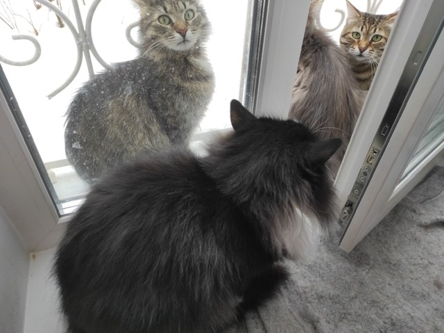 Весенние заморочки