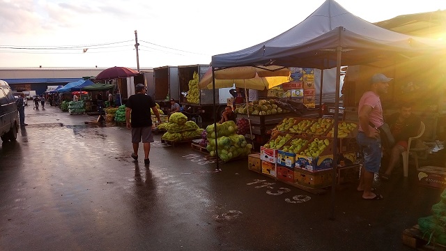 Всё по полочкам