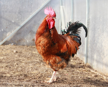 Наш ответ Джо Байдену