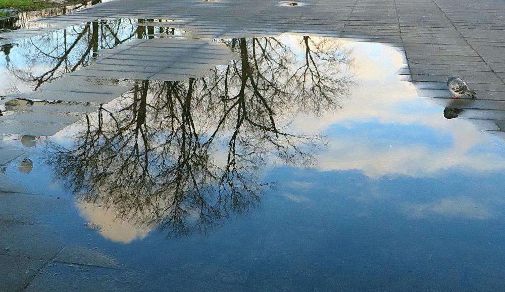 и не моли меня... Галина Ткачук