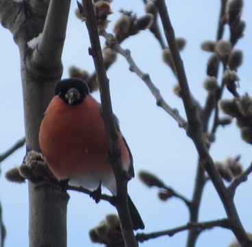 А за окном мне снова волшебство...