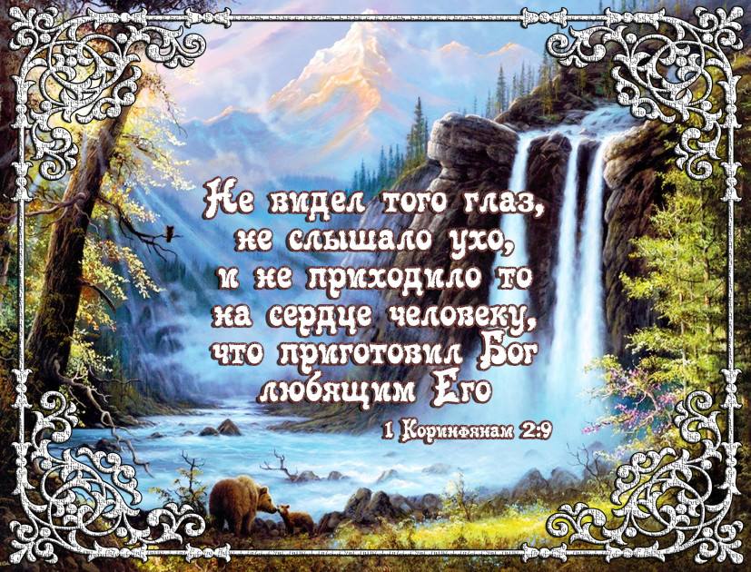 Мы все с надеждой смотрим на весну...