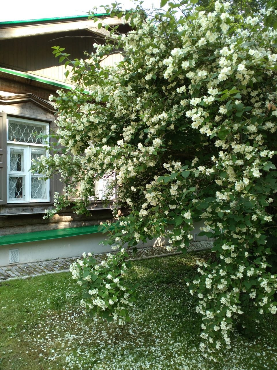 В былых садах Замоскворечья