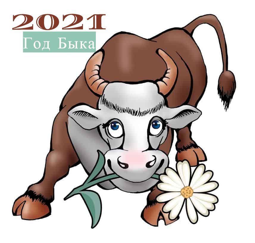5124 Не могу унять 2021