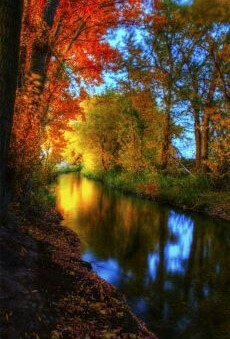 Я не умею рисовать