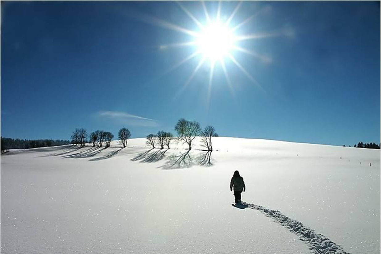 По сугробам, путь срезая