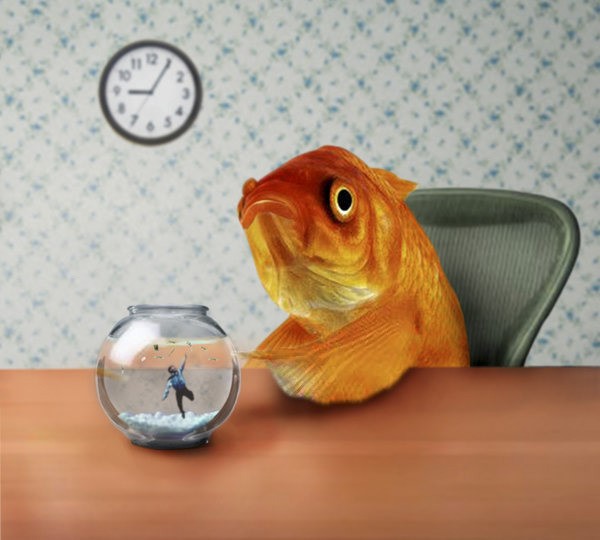 Суета-сумятица