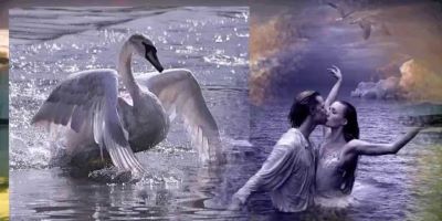 Текст Димаш Кудайберген - Любовь уставших лебедей