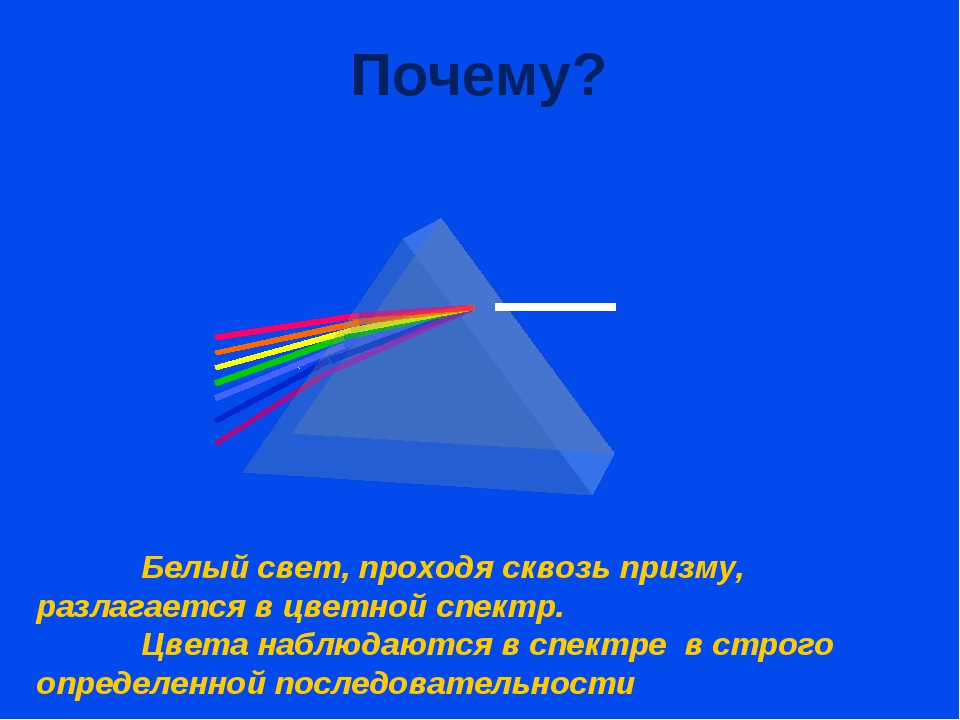 Иллюзия реальности