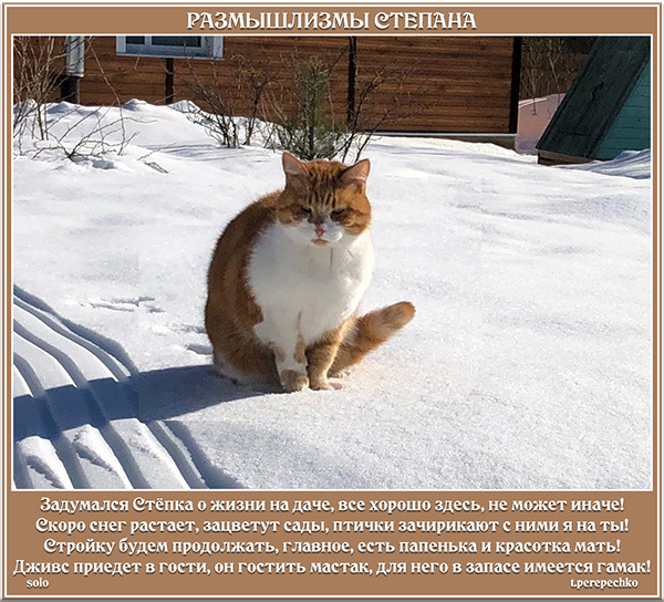 Размышлизмы Степана