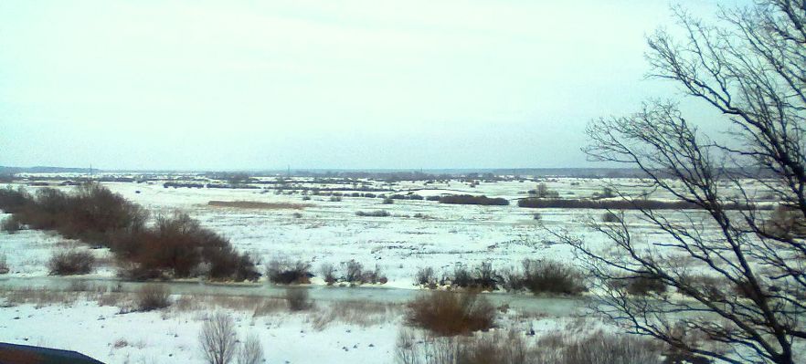 65. Весенний день и свеж, и светел