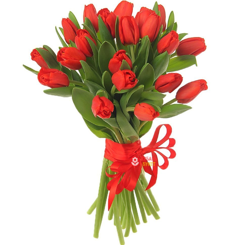 Дыхание весны