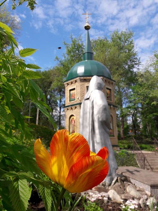 Был осуждаем и гоним...