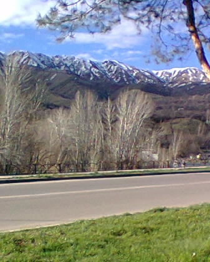 692. Месяц март ласкает душу (Татьяна Дементьева Белова) / Стихи.ру