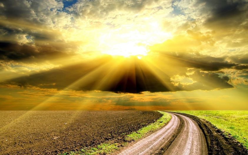 Я за жизнь немало повидала