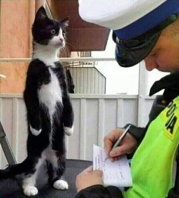 Нарушитель