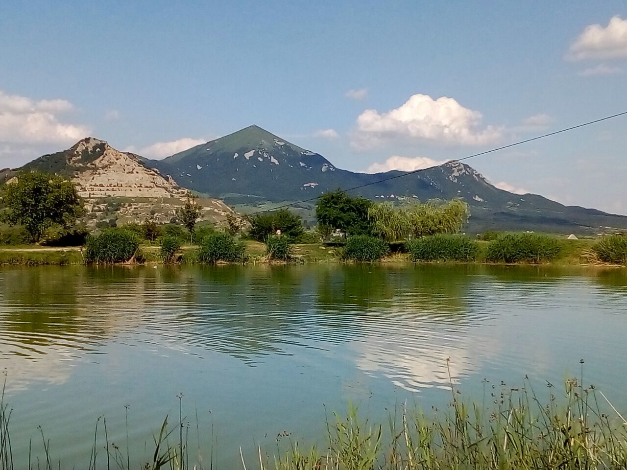 Виноградные сады