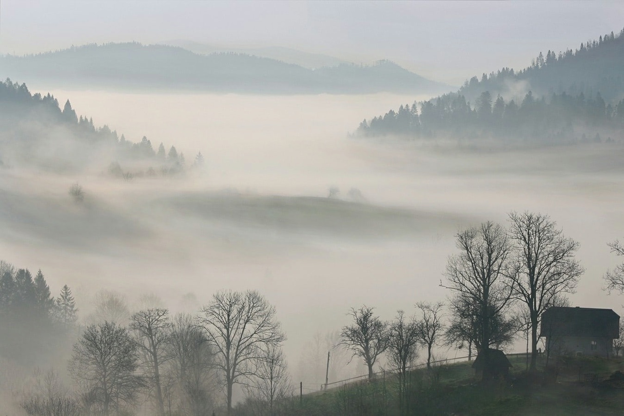 Удары пластиковых судеб...