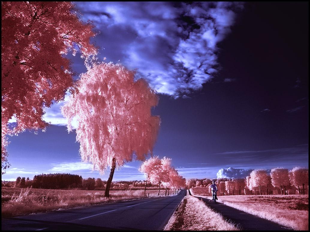 хорошее в закате плохого