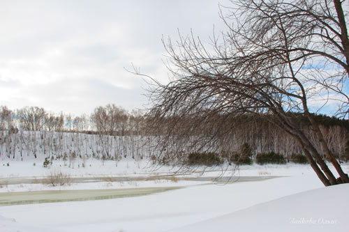 А я услышала сегодня...