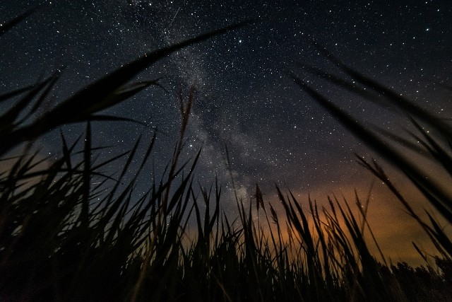 Свистопляска