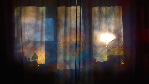 возвращаютса птицы потихоньку