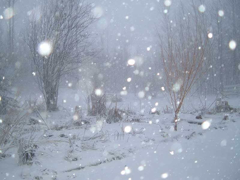 Падающий снег весной. Снежные хлопья Гиппиус. Снег метель. Февральская метель. Снежная метель.