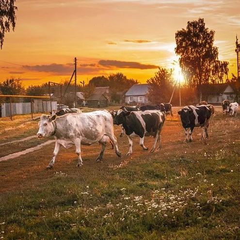 Закат села