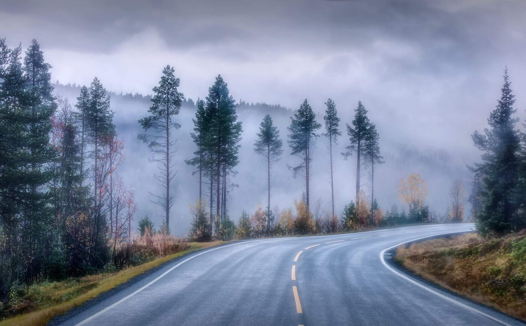 За тем поворотом дороги оказалась деревня. Дорога в тумане. Дорога в лесу. Лес туман дорога. Леса в тумане с дорогой.
