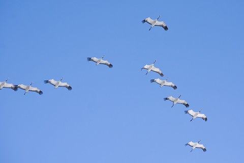 Надо нам немного подождать