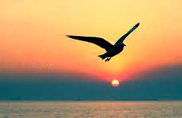 Можно быть...