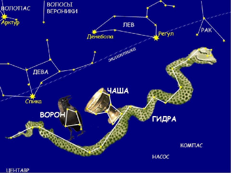 созвездия лев волопас дева. созвездия на небе. весенние созвездия на небе. созвездия на небе весной. весенние созвездия на небе.
