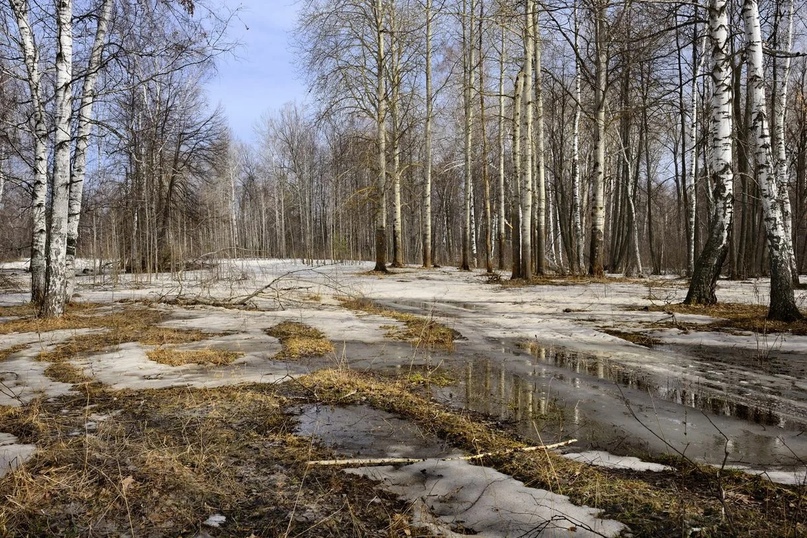 Не спят капитаны