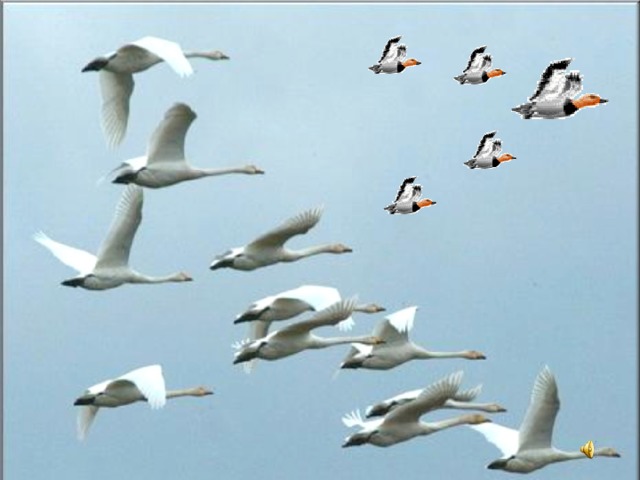 Где же твой Иерусалим?