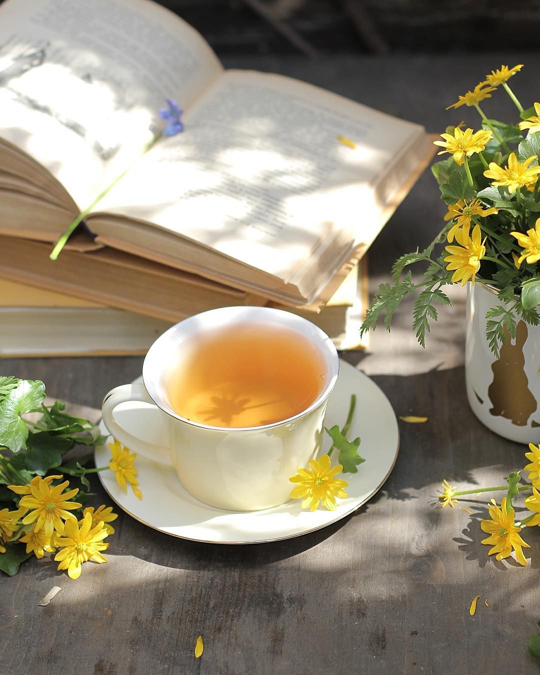Весенняя чашка чая. Чай цветок. Летний чай. Доброе солнечное утро. Утро чай.