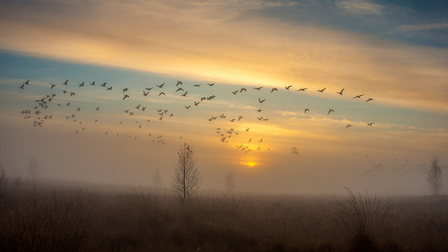 И боль, и печаль, и любовь...