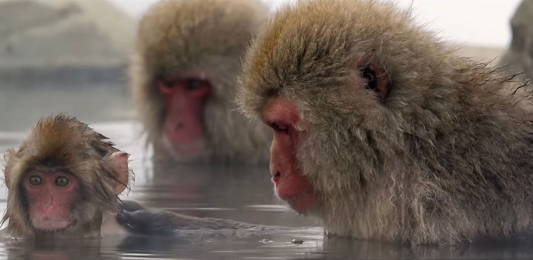 Я человек, уже много поживший...