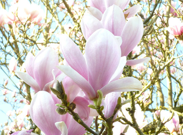 Чтоб любимых чувствовать - надо быть судьбой!