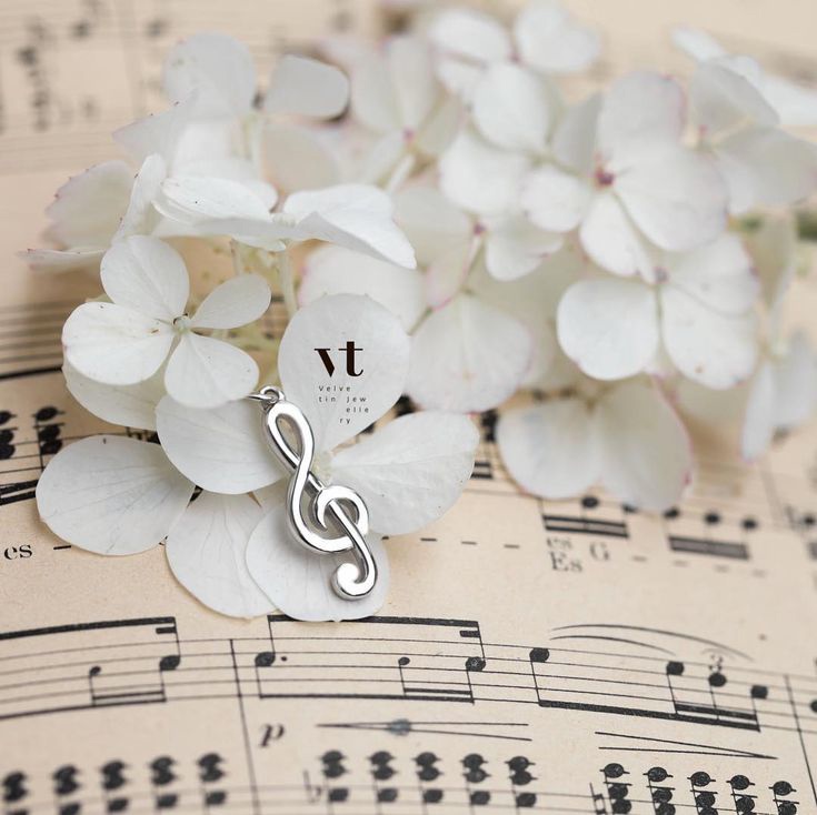 Секрет музыки