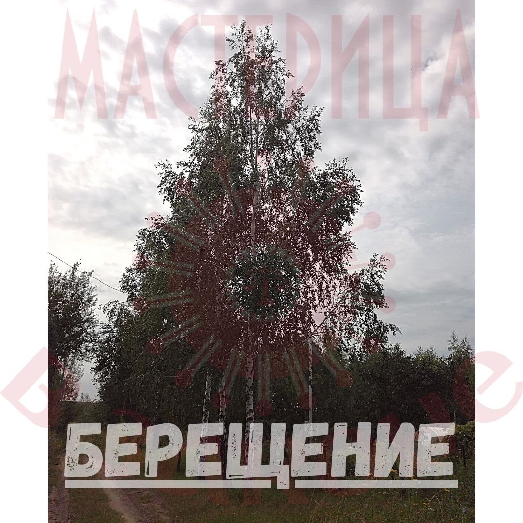 Берещение