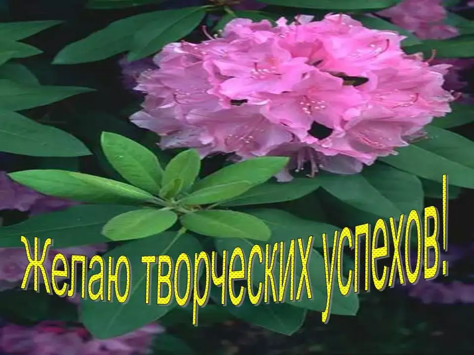 Желаем в работе вдохновенья. Творческое Вдохновение. Удачи и творческого вдохновения. Удачи в творчестве. Творческого вдохновения пожелание.