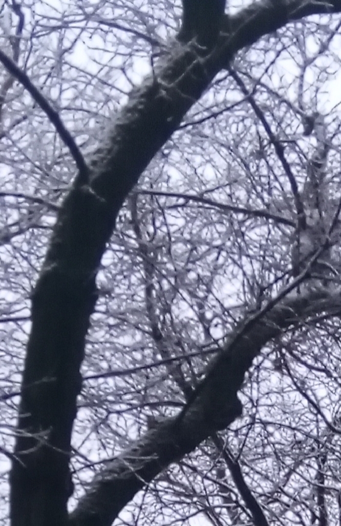 Первое свидание