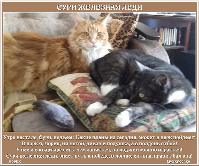 Сури железная леди