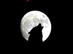 Постскриптум