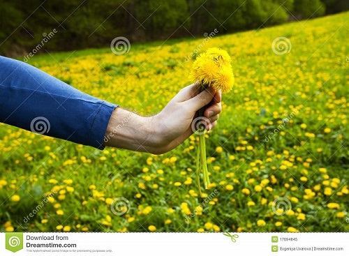 Одуванчик Стихи для детей